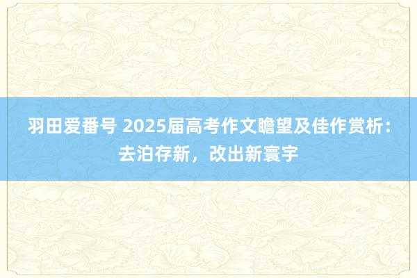 羽田爱番号 2025届高考作文瞻望及佳作赏析：去泊存新，改出新寰宇