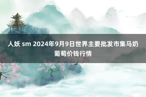 人妖 sm 2024年9月9日世界主要批发市集马奶葡萄价钱行情