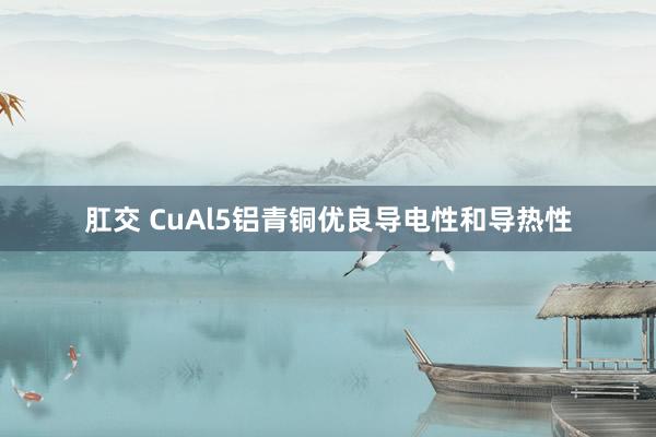 肛交 CuAl5铝青铜优良导电性和导热性