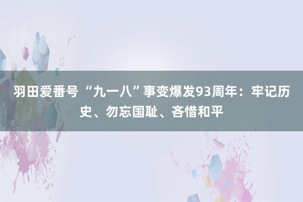 羽田爱番号 “九一八”事变爆发93周年：牢记历史、勿忘国耻、吝惜和平