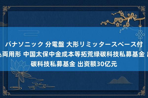 パナソニック 分電盤 大形リミッタースペース付 露出・半埋込両用形 中国太保中金成本等拓荒绿碳科技私募基金 出资额30亿元