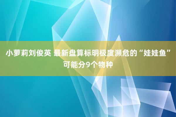 小萝莉刘俊英 最新盘算标明极度濒危的“娃娃鱼”可能分9个物种