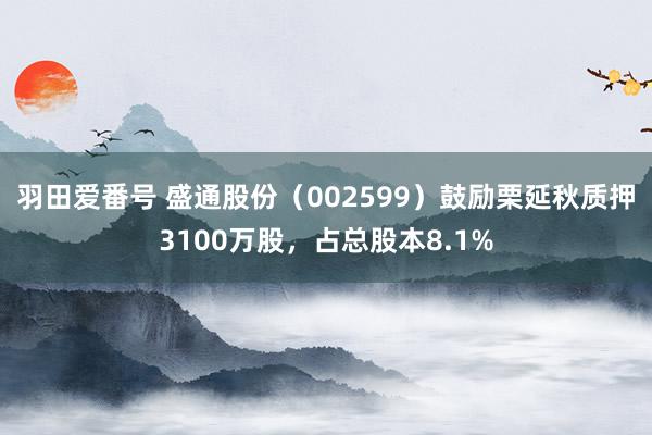 羽田爱番号 盛通股份（002599）鼓励栗延秋质押3100万股，占总股本8.1%