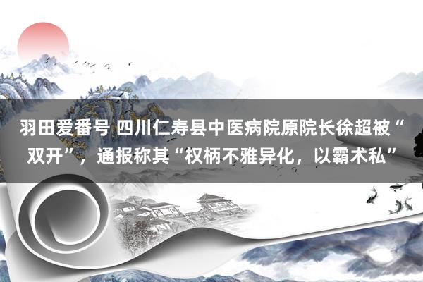 羽田爱番号 四川仁寿县中医病院原院长徐超被“双开”，通报称其“权柄不雅异化，以霸术私”