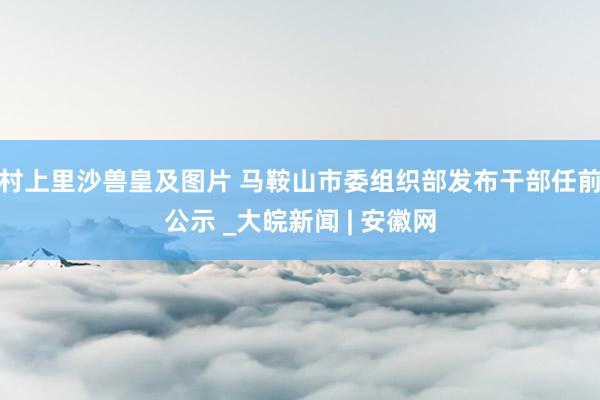 村上里沙兽皇及图片 马鞍山市委组织部发布干部任前公示 _大皖新闻 | 安徽网