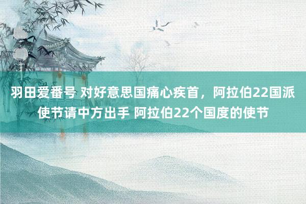 羽田爱番号 对好意思国痛心疾首，阿拉伯22国派使节请中方出手 阿拉伯22个国度的使节